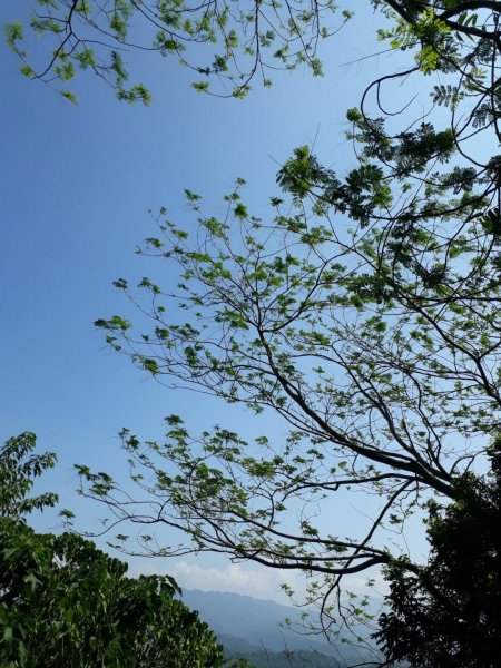 台中大坑步道7上6下20181027444576