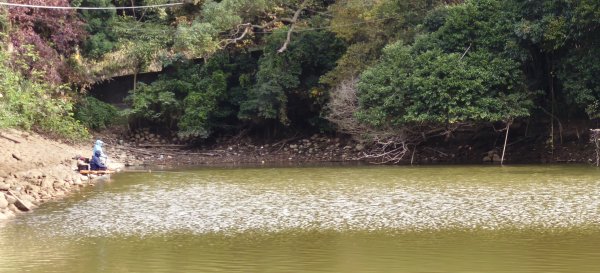 2024/12/28-蓮華山古道群：飛龍步道、進香古道、採茶古道、載熙古道2678892