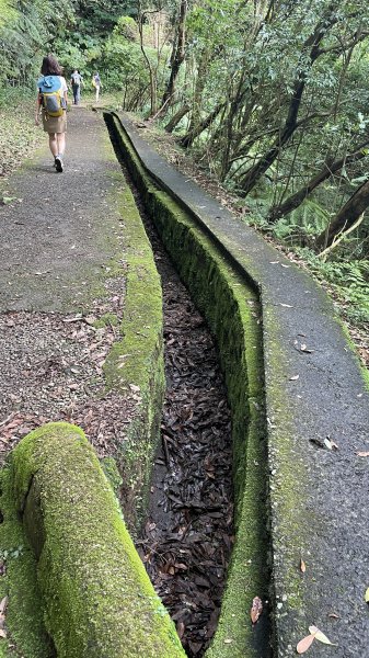 我的夏日健行→絹絲瀑布步道→冷水坑2203695