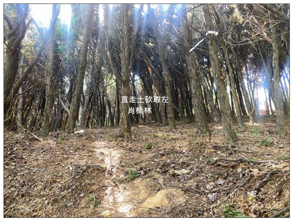 乞食崙 ( 台中/大肚山 )2937414