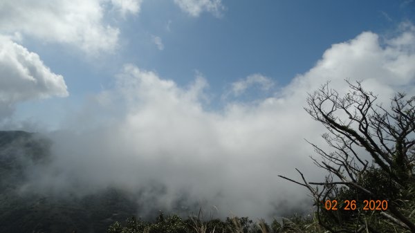 仙境?!雲霧繚繞! 2020/4th雲瀑853326