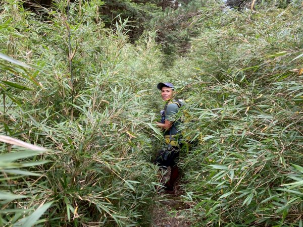 奇萊主峰.奇萊北峰【登山 千萬別高估自己】2910810