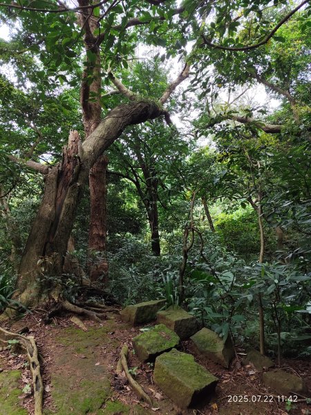天母古道、西門町、艋舺青山宮、剝皮寮、龍山寺2844584