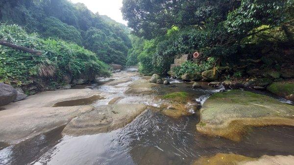 聖人瀑布➡️聖人崙➡️雙溪山+梅花五弄➡️帕米爾公園➡️聖人橋O型2797034