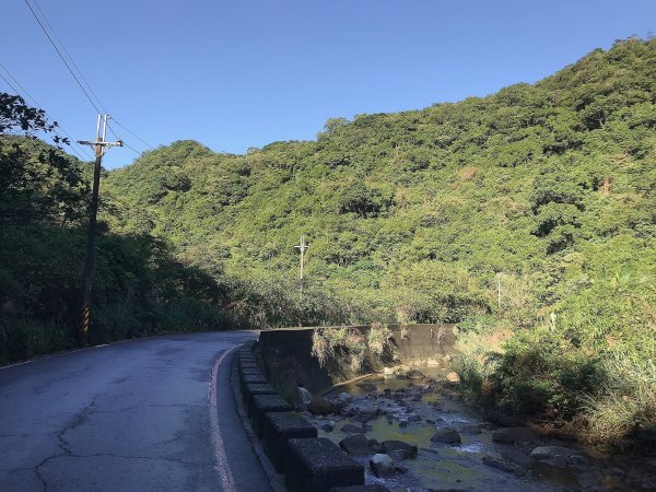 ~  賞秋芒  --  草嶺古道  ~1523249