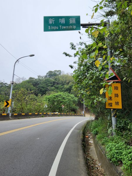 112/2/23龍鳳連稜2148199