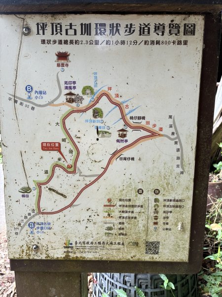 《坪頂古圳步道O形縱走｜大崎頭梯田、竹林秘境，夏日最涼的水圳步道》3086026