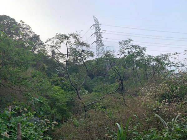 台中霧峰奧山2135027