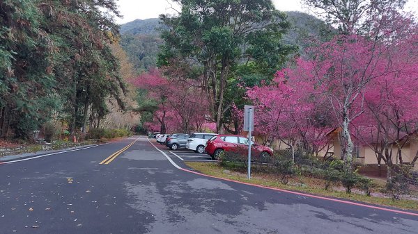 大年初一有勝山完登1267963