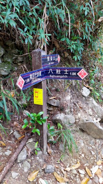 斯可巴步道+馬崙山785767