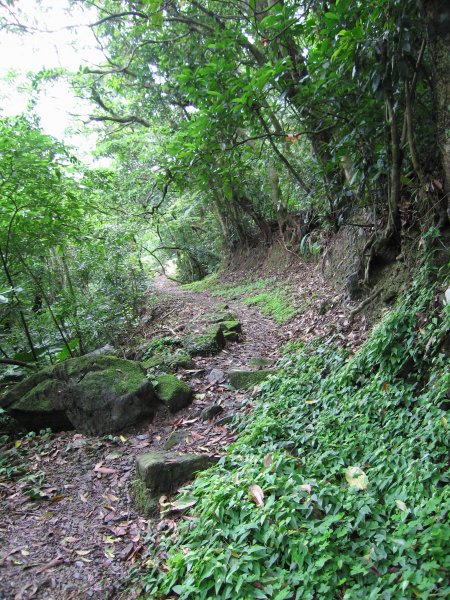 木柵猴山坑古道1957694