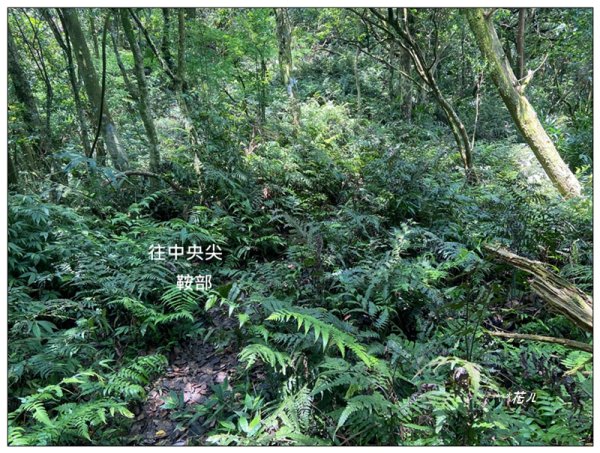 平溪中央尖、慈恩嶺、東勢格步道 O型一圈3072485
