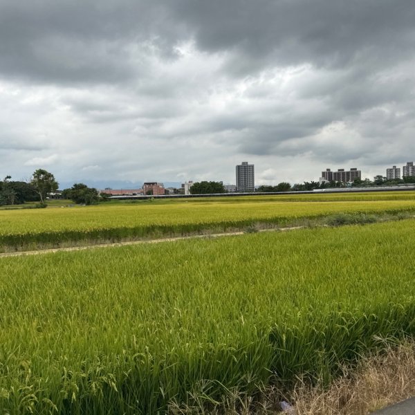 霄裡好風光運動樂悠遊2829063