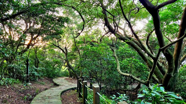 四獸山大縱走，虎山，豹山，獅山，象山，林口太平濱海步道，桃園龜山（貴山，龜山頭山），老坑溪步道1964738