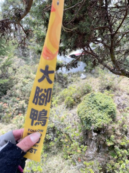 戒茂斯上嘉明湖下世新谷-二戰✈️-大鵬飛機✈️殘骸3046697
