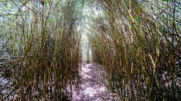 閂山之門.鈴鳴之鑰660236