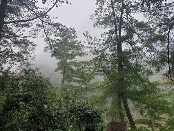 麗陽上屋我尾山2683100