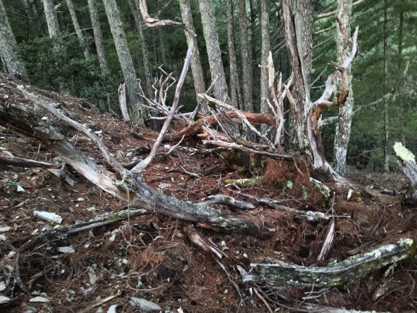 北一段(05/14)南湖南峰 2025_0906~132886488