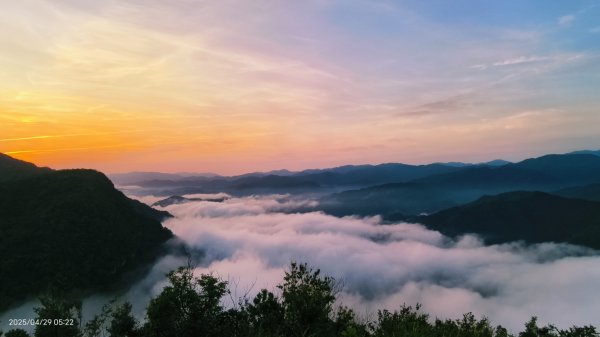 翡翠水庫壩頂 #火燒雲雲海 #日出雲海 #鱷魚島 #藍腹鷴 4/292772686