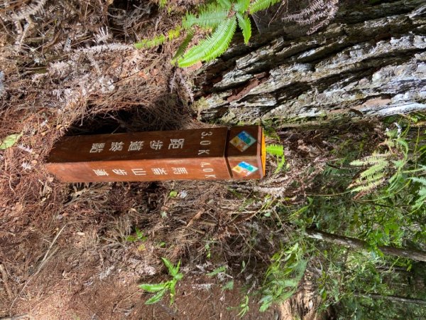 谷關七雄-馬侖山1116750