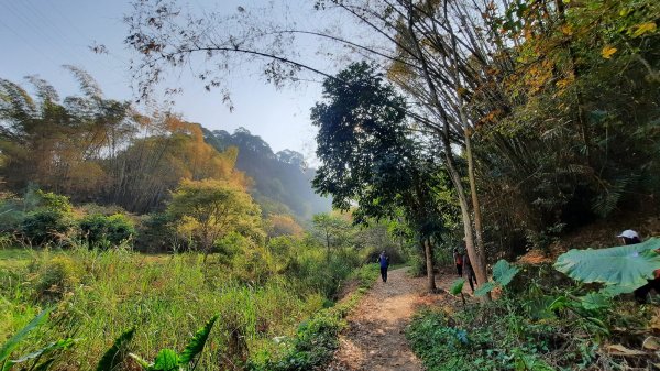 《彰化》社頭18彎古道上橫山＋山湖步道O型202102281287520