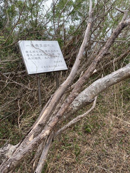 20250405屏東頂楓港山-上楓港山2757494