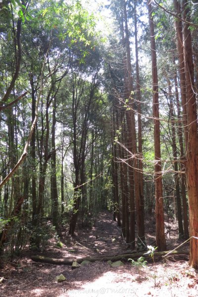 《台中》谷關七雄｜初登屋我尾山201703192890437