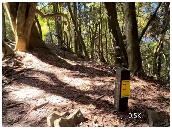 屋我尾山 北登山口 (大雪山林道31.3K)2985519