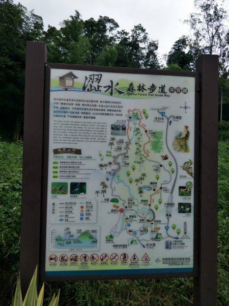 澀水森林步道1434793