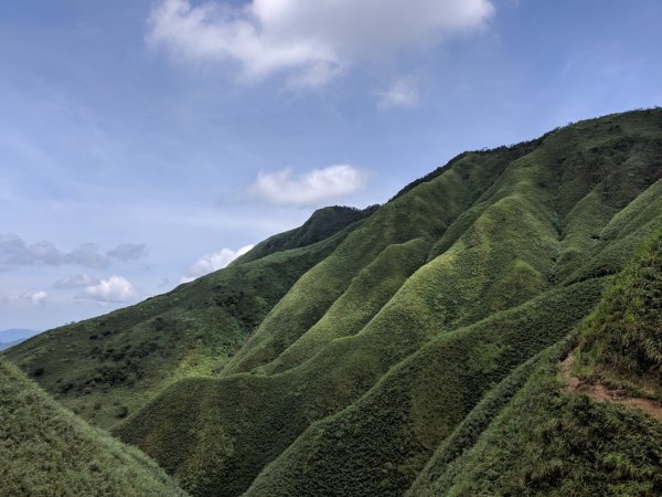 聖母步道抹茶山723266