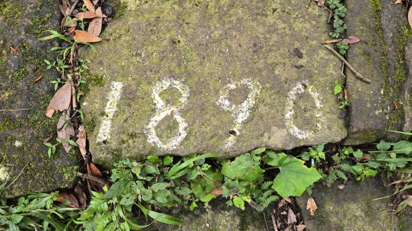 陽明山優質經典步道，興福寮古道，雲霧繚繞的向天池2815630