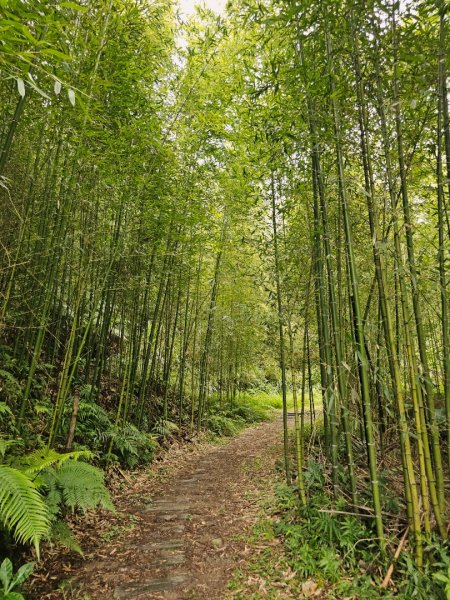 白蘭溪古道-2025森遊竹縣皮皮獅探險隊2895438