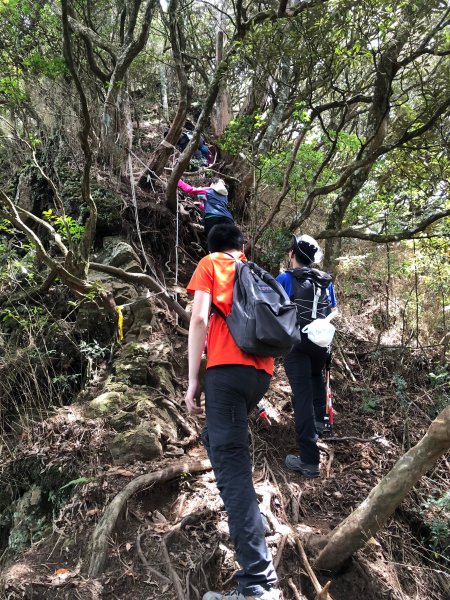 中級山-高島縱走2888439