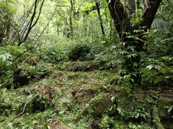 平溪區三功大厝+番子坑山+千階嶺步道O型2781128