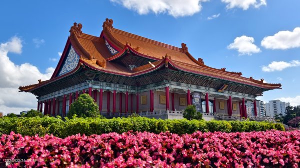 #自由廣場 #大安森林公園 #繡球花 #杜鵑 3/163016263