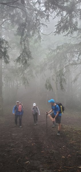 神阿縱走前的前哨站_獵人古道連接望美山與瓊山2333442