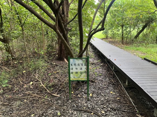 [全臺走路趣尋寶-39/100] 2024_0818_台南市巴克禮公園2577367