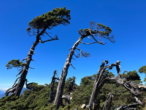 是不是有南字的山特別難成行南湖大山1875380