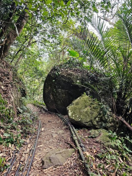 馬胎古道、馬胎二期古道、南坪古道2986020