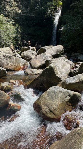 裡冷上唐麻丹O繞+蝴蝶谷2742938