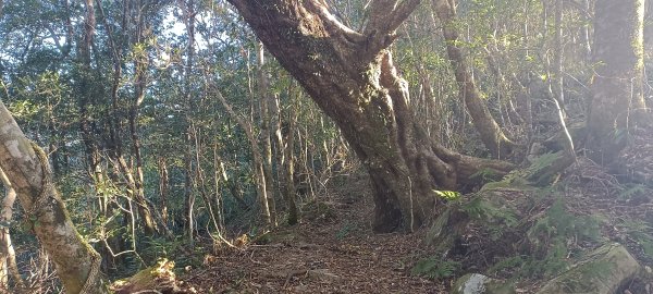 2024/12/07-空廊道上大混+李崠山2664898