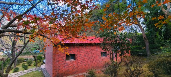 #花卉試驗中心 #永公路500巷 #平菁街42巷 #原住民公園 #士林官邸 1/42980399