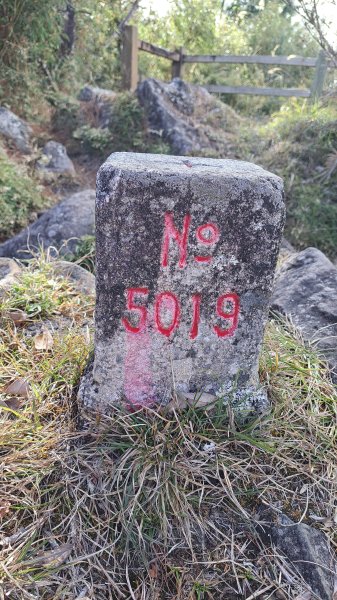 20250114東埔山；20250115二延平步道2693819