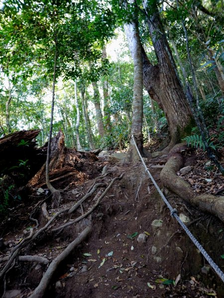 白毛山-谷關七雄(老六)3015203