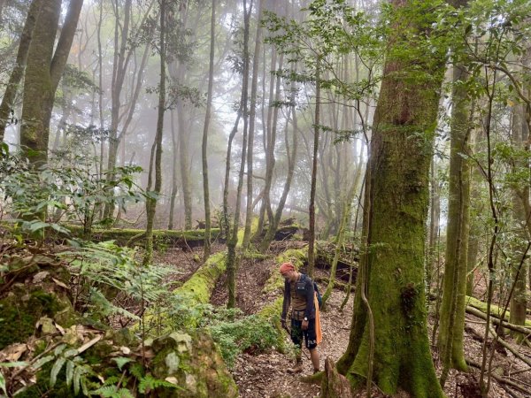 20251014雪見遊憩區 🚴‍♂️咖搭車走司馬限林道上東洗水山兩刷北坑山至大板根2916390