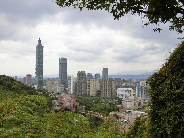 城市裡就能感受山林綠意~象山親山步道778676