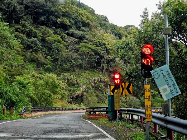 藤枝山-小百岳#68-高雄市桃源區2750314
