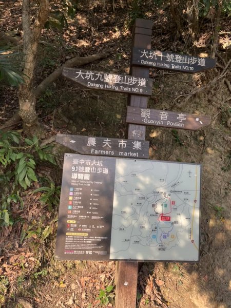 大坑9-1號步道2732238