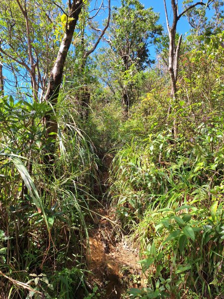 礁溪烘爐地山202509282900328