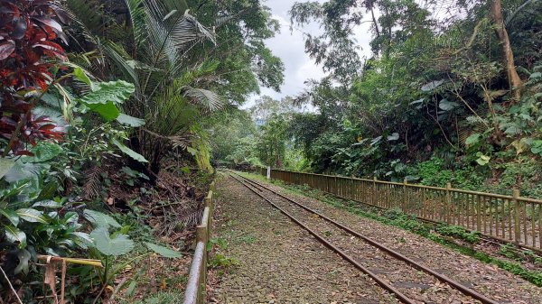 雲嘉九連峰1438975